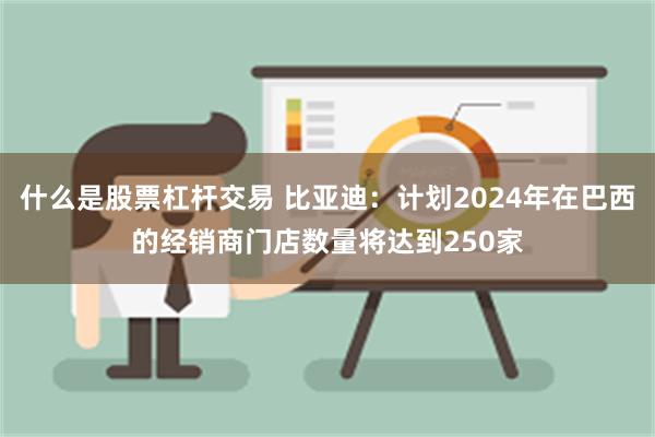 什么是股票杠杆交易 比亚迪：计划2024年在巴西的经销商门店数量将达到250家