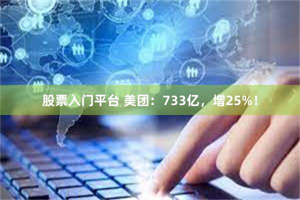 股票入门平台 美团：733亿，增25%！