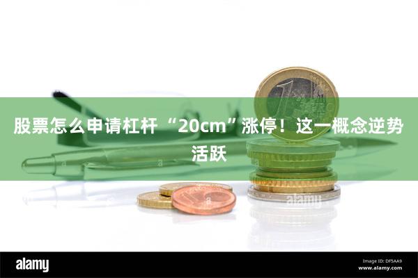 股票怎么申请杠杆 “20cm”涨停！这一概念逆势活跃