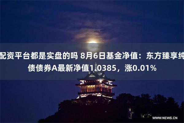 配资平台都是实盘的吗 8月6日基金净值：东方臻享纯债债券A最