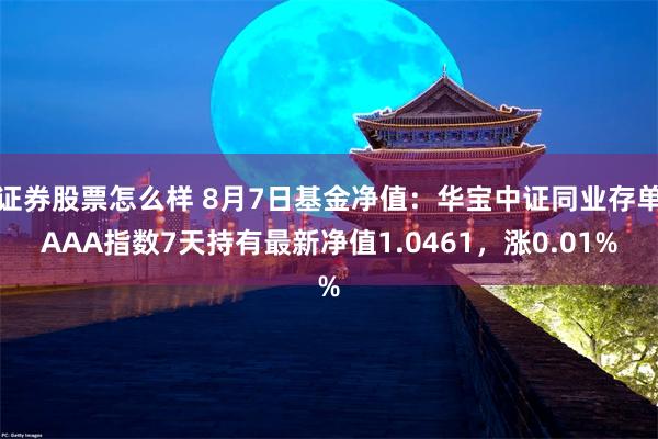 证券股票怎么样 8月7日基金净值：华宝中证同业存单AAA指数