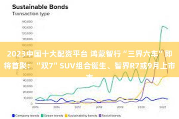 2023中国十大配资平台 鸿蒙智行“三界六车”即将首聚：“双