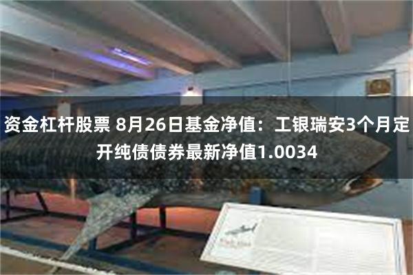 资金杠杆股票 8月26日基金净值：工银瑞安3个月定开纯债债券最新净值1.0034