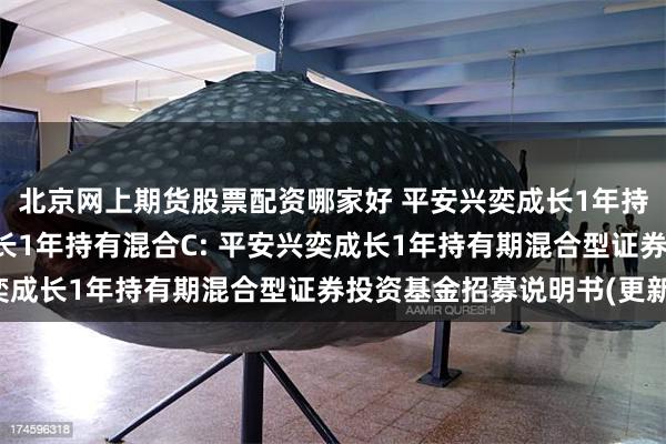 北京网上期货股票配资哪家好 平安兴奕成长1年持有混合A,平安兴奕成长1年持有混合C: 平安兴奕成长1年持有期混合型证券投资基金招募说明书(更新)