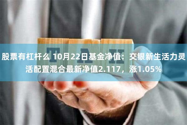 股票有杠杆么 10月22日基金净值：交银新生活力灵活配置混合