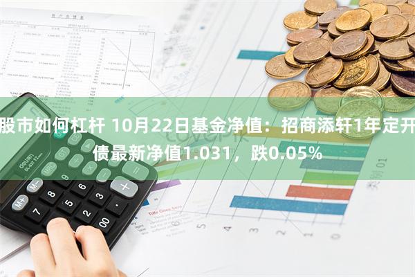 股市如何杠杆 10月22日基金净值：招商添轩1年定开债最新净值1.031，跌0.05%