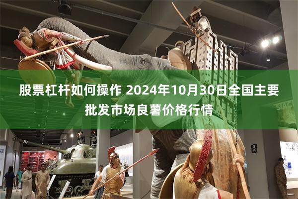 股票杠杆如何操作 2024年10月30日全国主要批发市场良薯价格行情