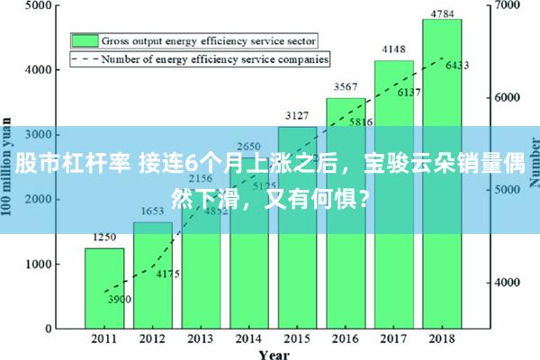 股市杠杆率 接连6个月上涨之后，宝骏云朵销量偶然下滑，又有何惧？