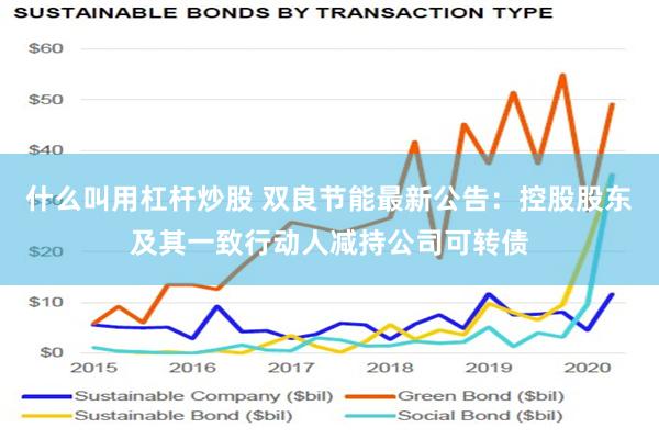 什么叫用杠杆炒股 双良节能最新公告：控股股东及其一致行动人减持公司可转债