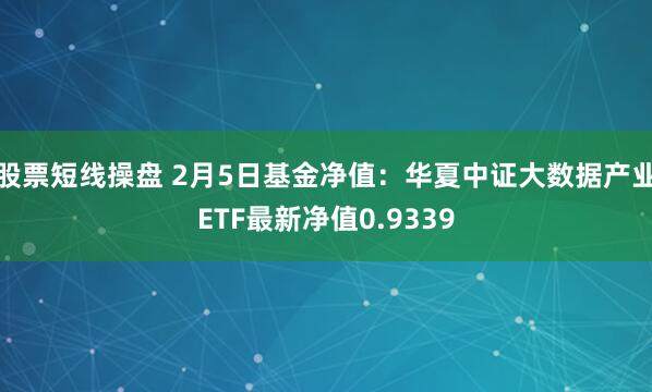 股票短线操盘 2月5日基金净值：华夏中证大数据产业ETF最新净值0.9339