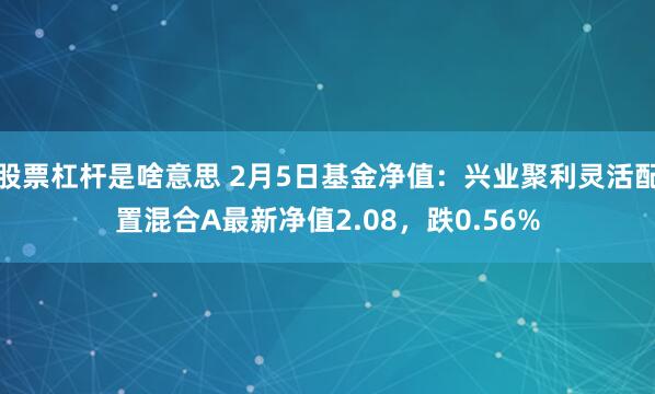 股票杠杆是啥意思 2月5日基金净值：兴业聚利灵活配置混合A最新净值2.08，跌0.56%