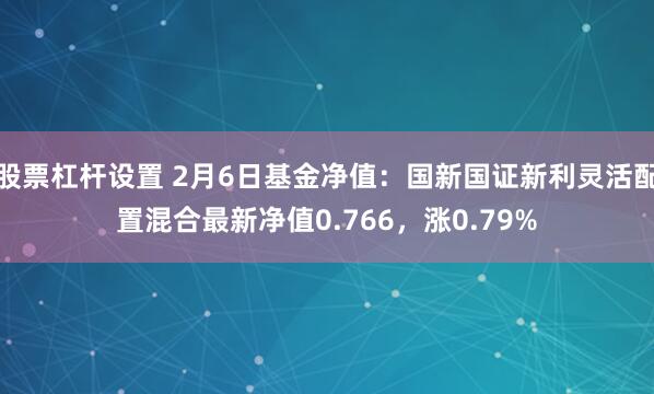 股票杠杆设置 2月6日基金净值：国新国证新利灵活配置混合最新净值0.766，涨0.79%