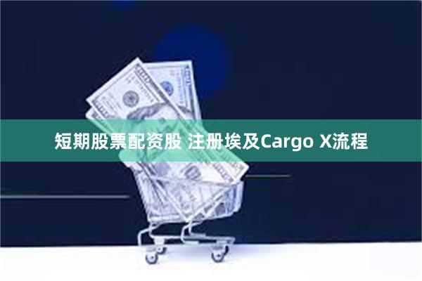 短期股票配资股 注册埃及Cargo X流程