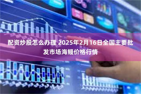 配资炒股怎么办理 2025年2月16日全国主要批发市场海鳗价格行情